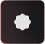 Icon 6